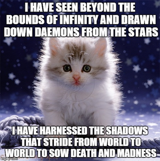 Illustration for article titled Delve Into The Hidden Horrors Of The Universe... With Kittens